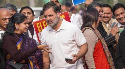 Tamil Nadu Congress leaders schedule meeting with Rahul Gandhi