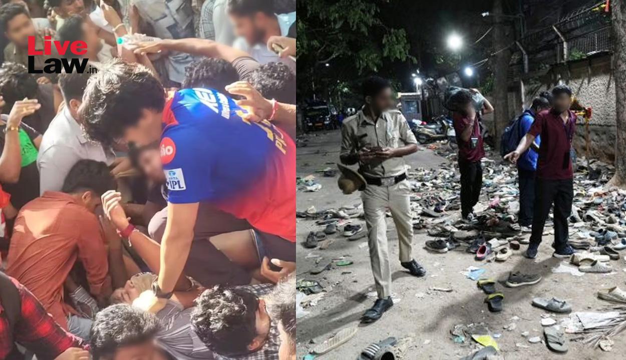 Karnataka HC seeks status report from state on IPL stampede incident