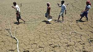 Karnataka: Severe lack of rains in 195 taluks, recommendation made to CM to declare drought